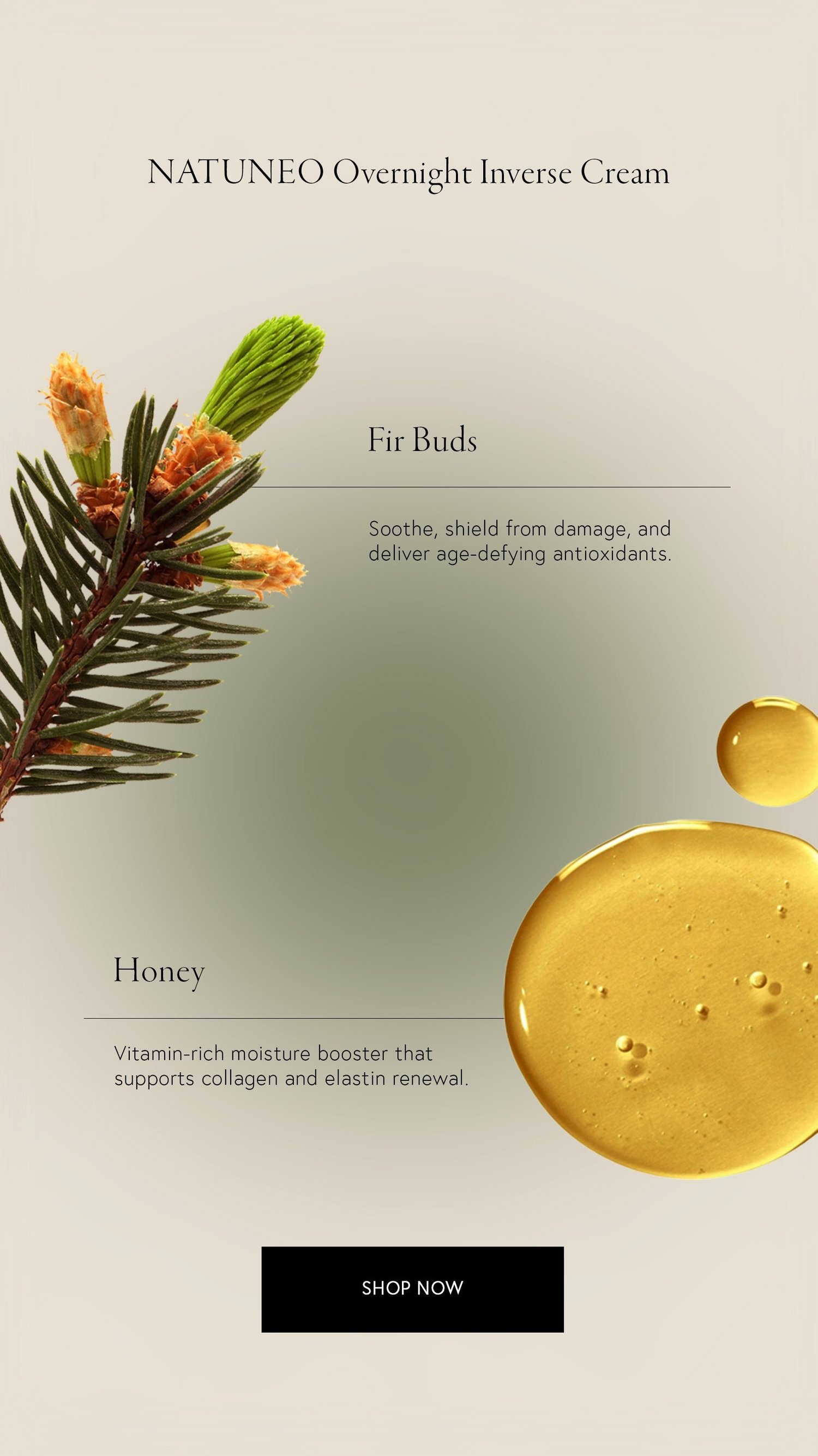 NATUNEO fir buds and honey ingredients
